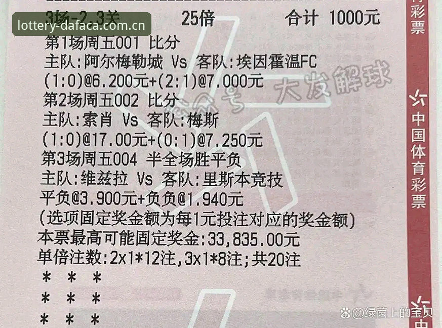 大发彩票安卓版评测：老用户分享3年实战经验与2024版新功能详解
